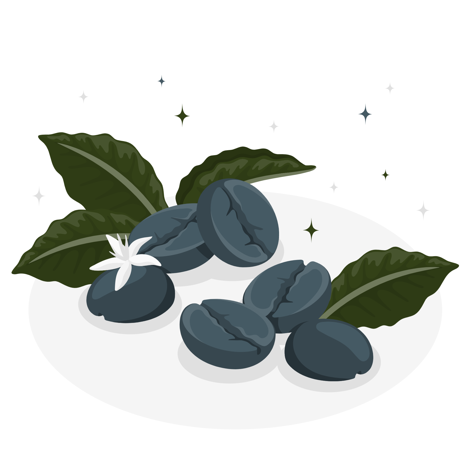 coffee preparation image